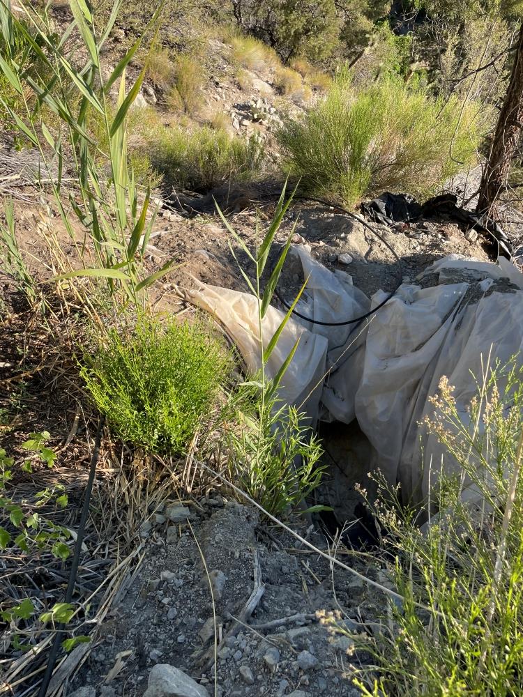 A water storage impoundment for illegal cannabis grow operations at a site in San Bernardino County